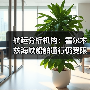 航运分析机构：霍尔木兹海峡船舶通行仍受限（图3）