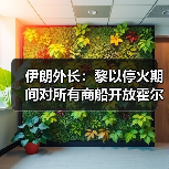 伊朗外长：黎以停火期间对所有商船开放霍尔木兹海峡（图2）