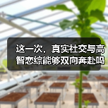 这一次，真实社交与高智恋综能够双向奔赴吗？