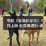 电影《坠落的审判》今日上映 影后桑德拉·惠勒全中文问好尽显诚意