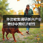 外资看好新兴产业机遇，聚焦中国经济发展