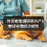 外资密集调研新兴产业 看好中国经济韧性（图4）