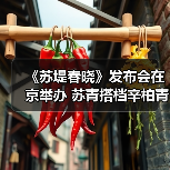 《苏堤春晓》发布会在京举办 苏青搭档辛柏青演绎宋韵风尚（图3）