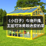 王媛可演技突破 新剧《小日子》今日开播