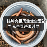 陈坤亮相全爱钻展 优雅魅力尽显绅士风范