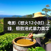 电影《怒火12小时》上线，极致港式暴力美学，打戏酣畅淋漓！（图4）
