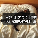 电影《仙女鸟飞过的夏天》聚焦青少年网瘾与始兴客家文化