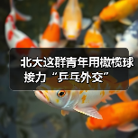 北大这群青年用橄榄球接力“乒乓外交”(图2) 北大这群青年用橄榄球接力“乒乓外交”(图2)