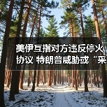 美伊互指对方违反停火协议 特朗普威胁或“采取行动”