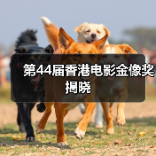 第44届香港电影金像奖揭晓（图4）