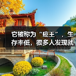 它被称为“癌王”，生存率低，很多人发现就是中晚期！这个饮食习惯再不改就晚了，尤其这些人（图2）