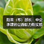 刚果（布）部长：中企承建的公路助力刚实现经济社会效益双赢（图2）