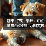 刚果（布）部长：中企承建的公路助力刚实现经济社会效益双赢（图4）