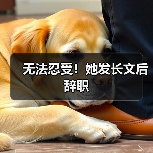 无法忍受！她发长文后辞职