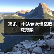通讯｜中法专家情牵蓝冠噪鹛（图2）