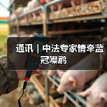 通讯｜中法专家情牵蓝冠噪鹛（图4）