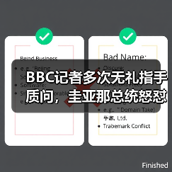 BBC记者多次无礼指手质问，圭亚那总统怒怼：轮不到你来对我说教！你们西方世界就是这么虚伪（图3）