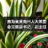 青海省黄南州人大常委会党组副书记、副主任张文生接受纪律审查和监察调查（图2）
