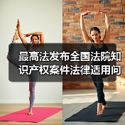 最高法发布全国法院知识产权案件法律适用问题年度报告（2025）摘要（图3）