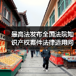 最高法发布全国法院知识产权案件法律适用问题年度报告（2025）摘要（图2）