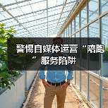 警惕自媒体运营“陪跑”服务陷阱（图4）