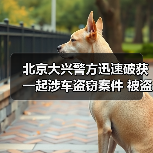 北京大兴警方迅速破获一起涉车盗窃案件 被盗财物全部追回