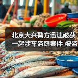 北京大兴警方迅速破获一起涉车盗窃案件 被盗财物全部追回（图2）