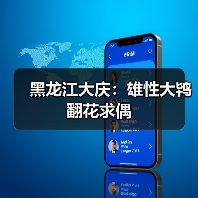 黑龙江大庆：雄性大鸨翻花求偶（图4）