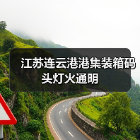 江苏连云港港集装箱码头灯火通明（图4）