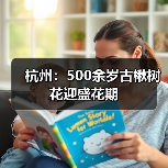 杭州：500余岁古楸树花迎盛花期（图2）