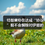 特朗普称在达成“协议”前不会解除对伊朗的封锁（图3）