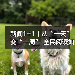 新闻1+1丨从“一天”变“一周” 全民阅读如何真正深入人心？专家解读