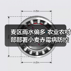 麦区雨水偏多 农业农村部部署小麦赤霉病防控工作（图3）