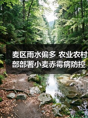 麦区雨水偏多 农业农村部部署小麦赤霉病防控工作（图2）