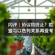 闪评｜协议将终止？欧盟与以色列关系再受考验（图3）