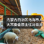 内蒙古自治区乌海市人大常委会原主任冯雪涛被“双开”（图2）