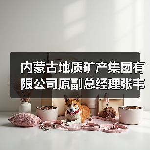 内蒙古地质矿产集团有限公司原副总经理张韦被“双开”
