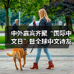 中外嘉宾齐聚“国际中文日”暨全球中文诗友会（图3）