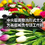 中央层面整治形式主义为基层减负专项工作机制办公室 中央纪委办公厅公开通报4起整治形式主义为基层减