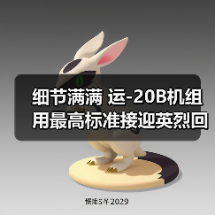 细节满满 运-20B机组用最高标准接迎英烈回家（图4）