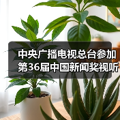 中央广播电视总台参加第36届中国新闻奖视听设计（新闻漫画）专项初评作品公示（图3）