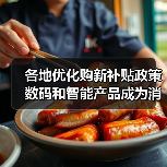 各地优化购新补贴政策 数码和智能产品成为消费品以旧换新新热点（图2）