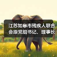 江苏如皋市残疾人联合会原党组书记、理事长吴来平接受纪律审查和监察调查