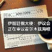 伊朗驻俄大使：伊议会正在审议霍尔木兹海峡通行费问题（图3）