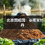 北京圆明园：谷雨赏牡丹（图3）