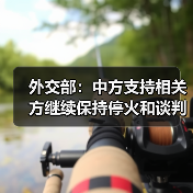 外交部：中方支持相关方继续保持停火和谈判势头（图3）