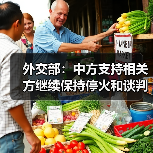 外交部：中方支持相关方继续保持停火和谈判势头