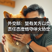 外交部：望有关方以负责任态度恪守停火协定 为海峡通行恢复正常提供必要条件