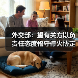 外交部：望有关方以负责任态度恪守停火协定 为海峡通行恢复正常提供必要条件（图3）