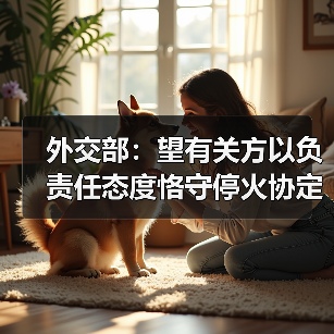 外交部：望有关方以负责任态度恪守停火协定 为海峡通行恢复正常提供必要条件（图2）